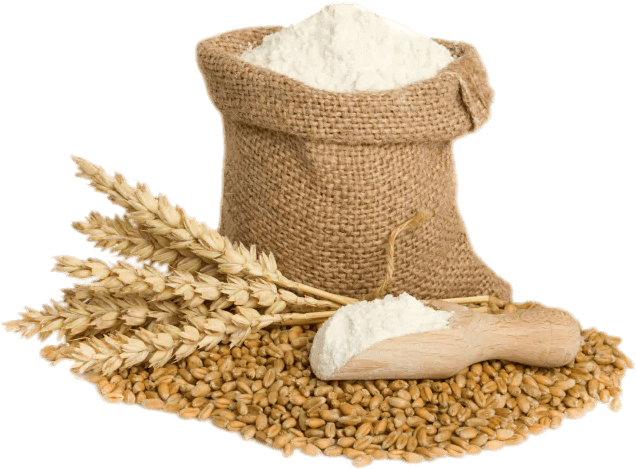 millets exporter in chennai